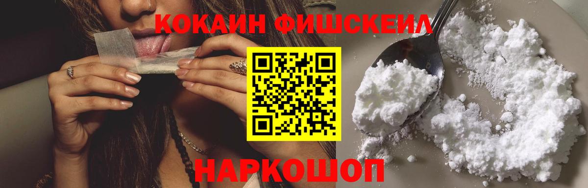 COCAIN Fish Scale  Вход с VPN  Сызрань 