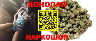 spice Камышлов
