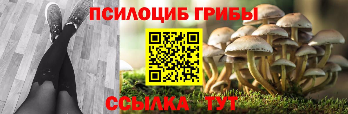 Сызрань  Галлюциногенные грибы MAGIC MUSHROOMS  Вход с VPN 